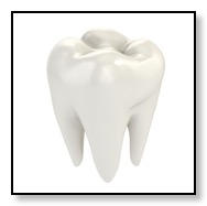 Tooth image.jpg